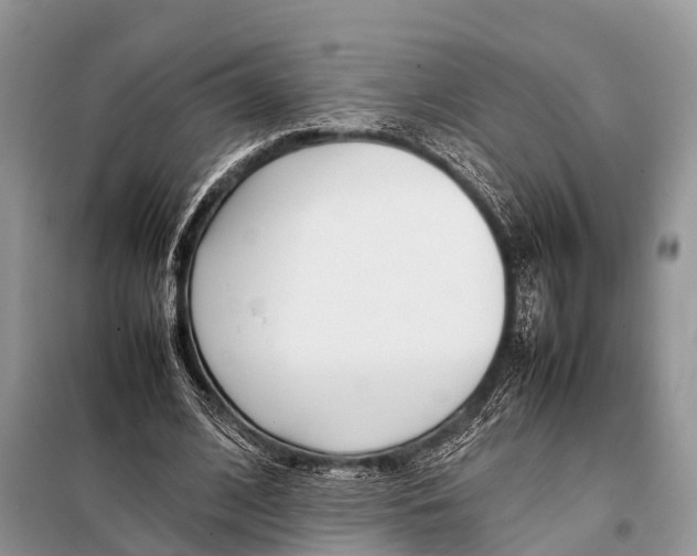 X0000098100584200805021111