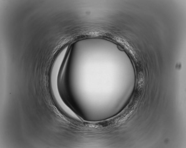 X0000098100585200805021111