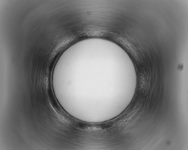 X0000098100586200805021111