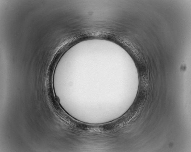 X0000098100587200805021111