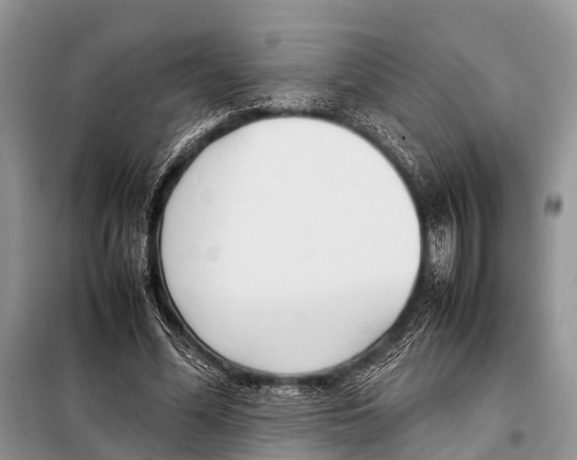 X0000098100588200805021111