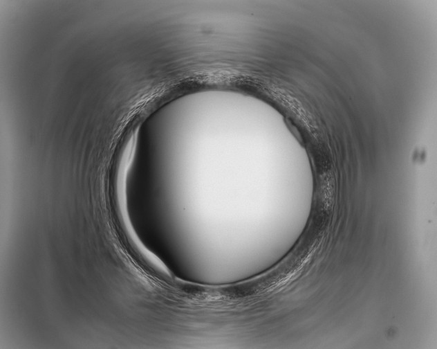 X0000098100589200805021111