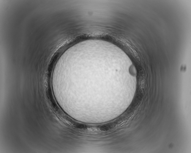 X0000098100591200805021111