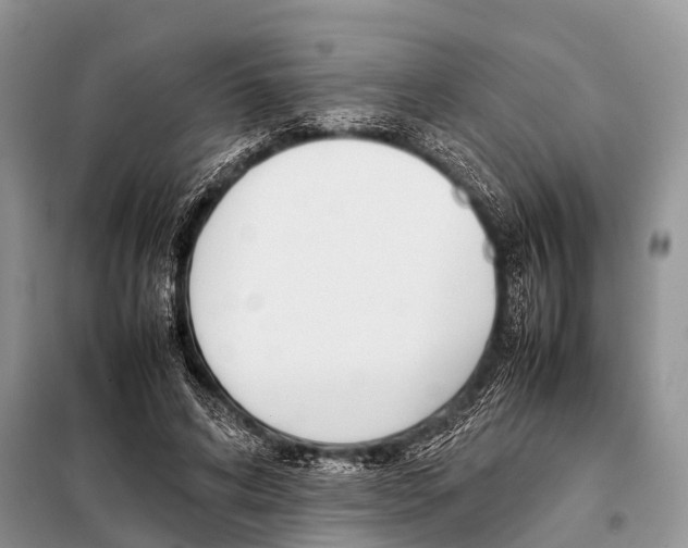 X0000098100592200805021111