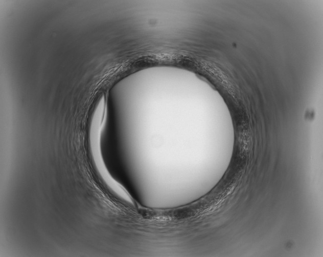 X0000098100593200805021111