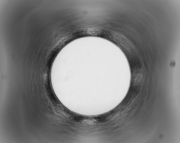X0000098100595200805021111