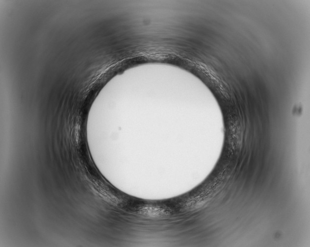 X0000098100596200805021111