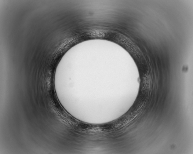 X0000098100600200805021111