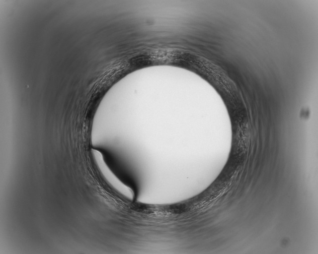 X0000098100601200805021111