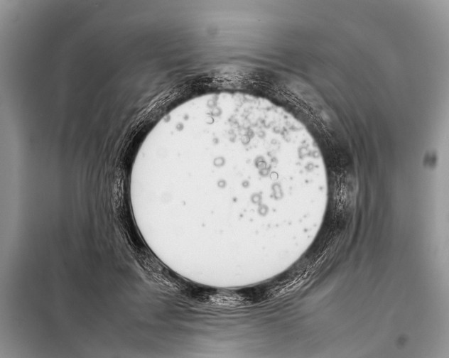 X0000098100603200805021111