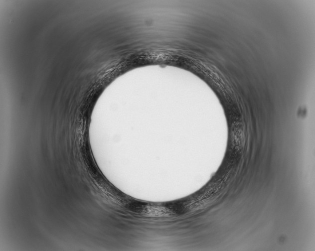 X0000098100605200805021111