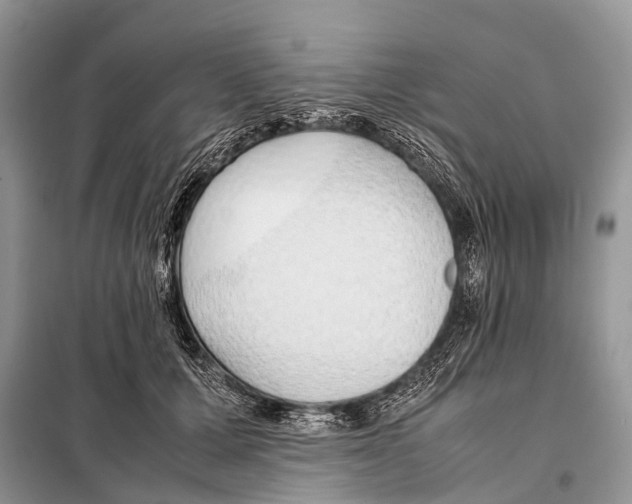 X0000098100607200805021111