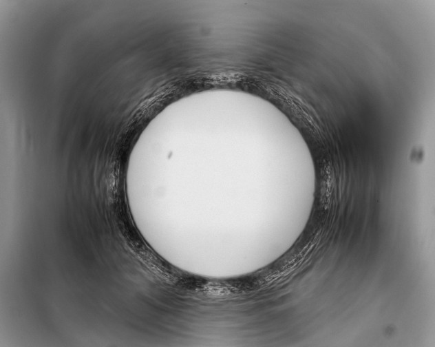 X0000098100608200805021111