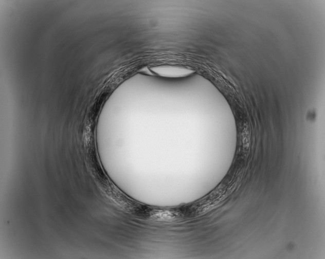 X0000098100611200805021111
