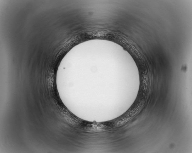 X0000098100612200805021111