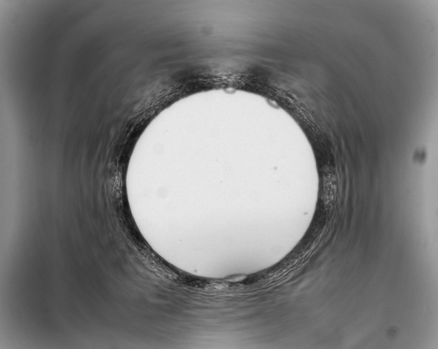 X0000098100613200805021111