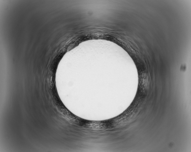 X0000098100615200805021111