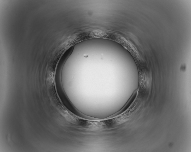 X0000098100621200805021111