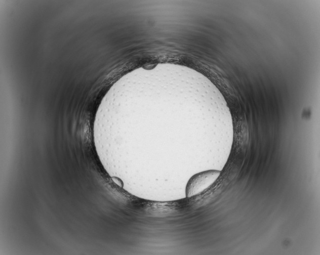 X0000098100622200805021111