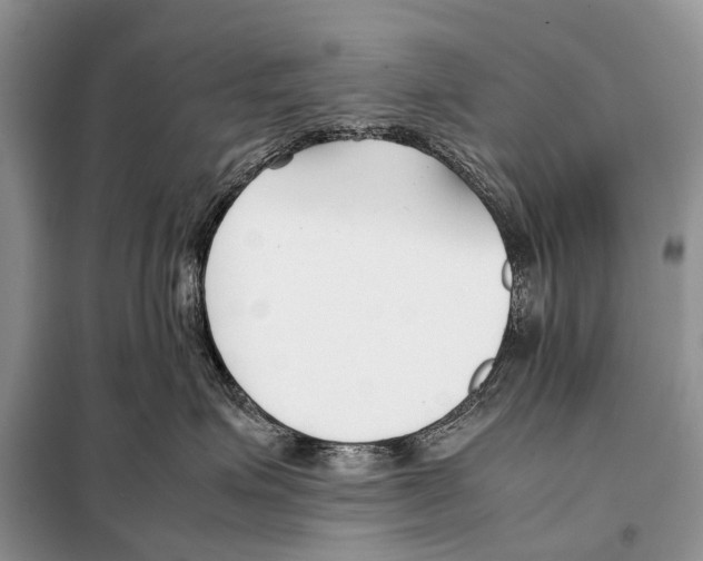 X0000098100623200805021111