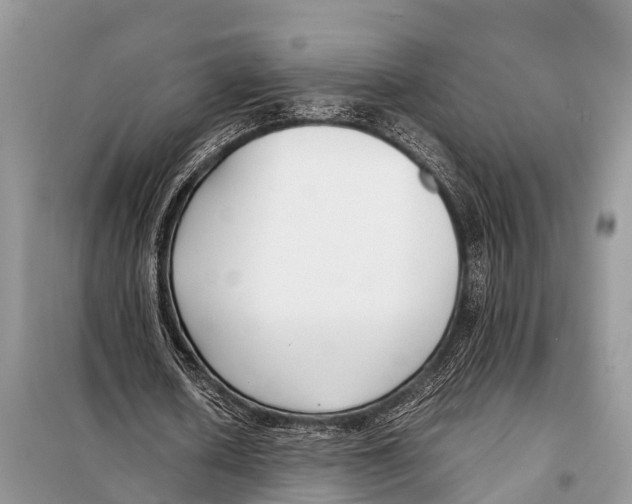 X0000098100626200805021110