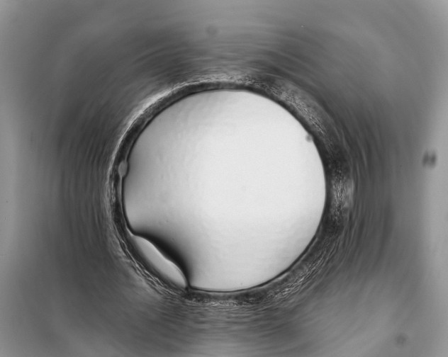 X0000098100628200805021110