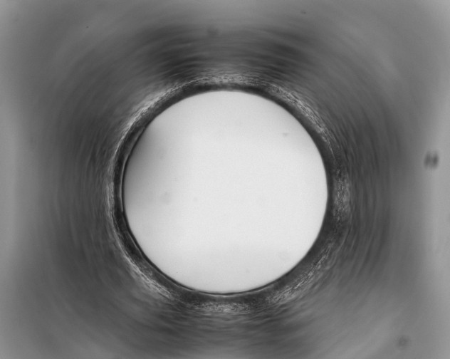 X0000098100629200805021110