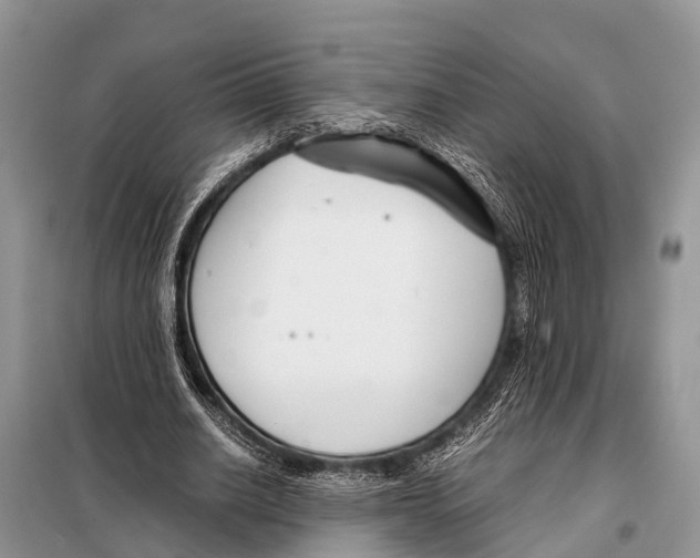 X0000098100630200805021110
