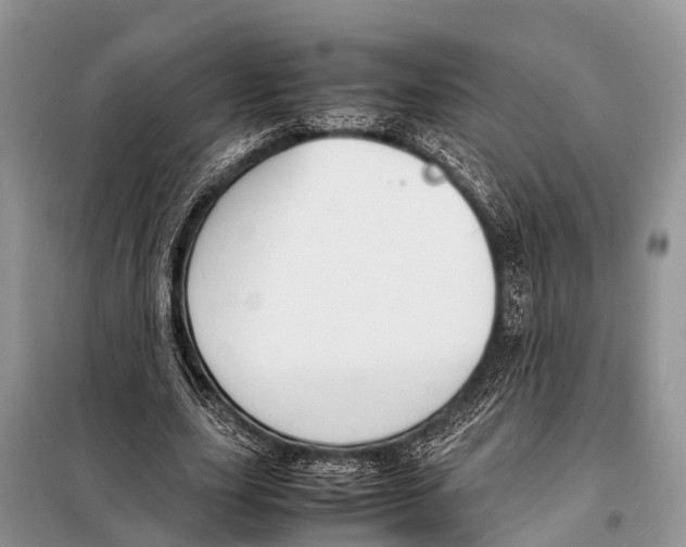 X0000098100631200805021110