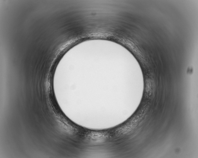 X0000098100632200805021110