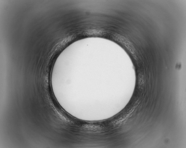 X0000098100633200805021110