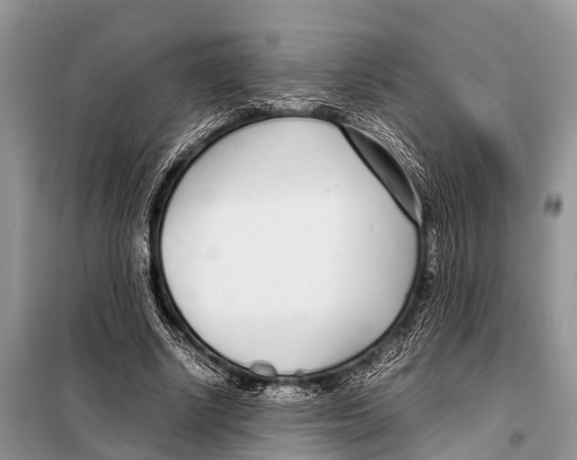 X0000098100634200805021110