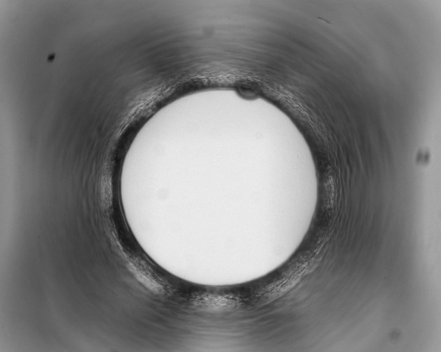 X0000098100638200805021110