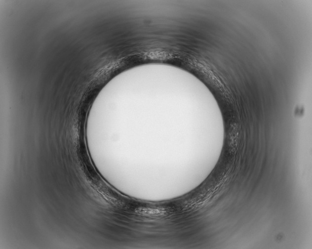 X0000098100639200805021110