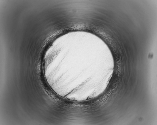 X0000098100640200805021110