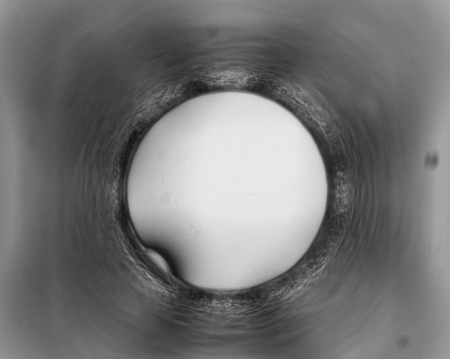 X0000098100641200805021110