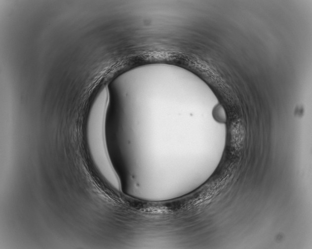 X0000098100642200805021110