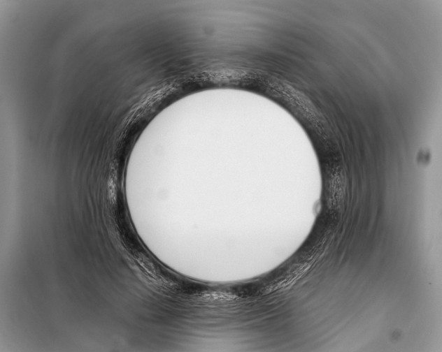 X0000098100644200805021110