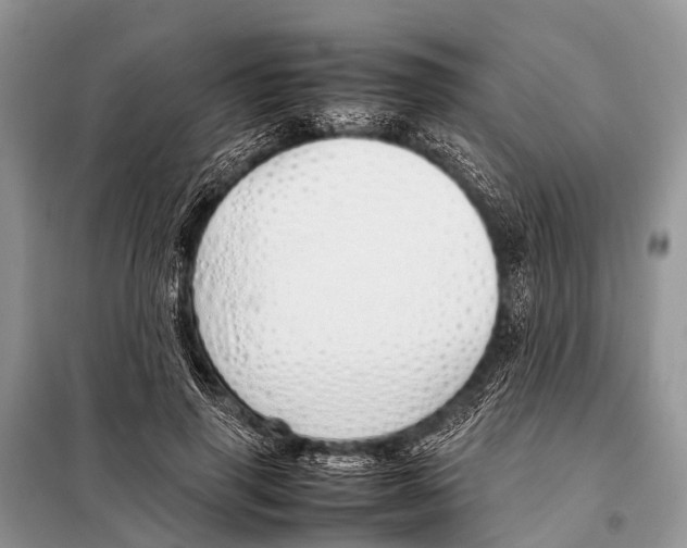 X0000098100645200805021110