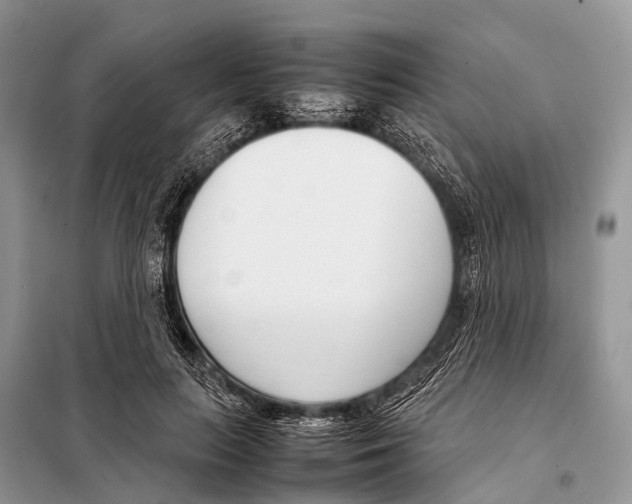 X0000098100647200805021111