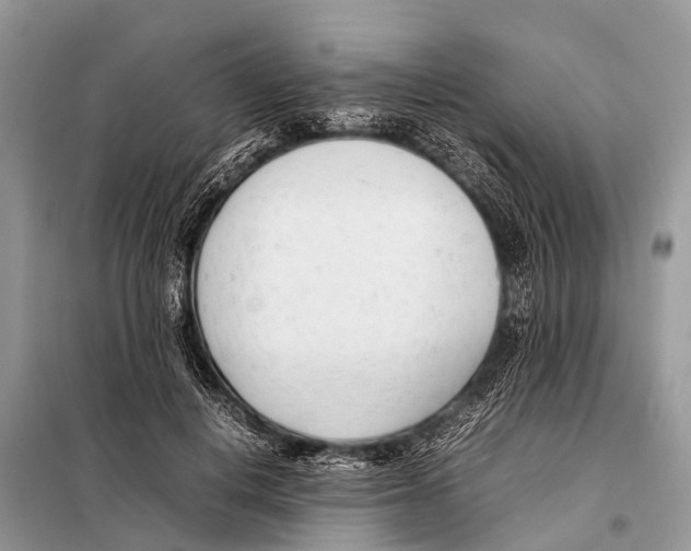 X0000098100648200805021111