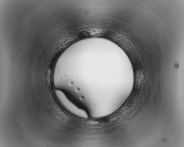 X0000098100650200805021111