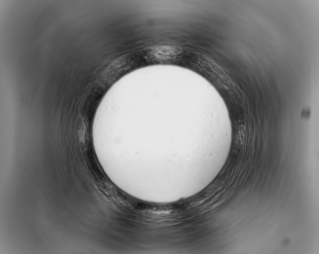 X0000098100651200805021111