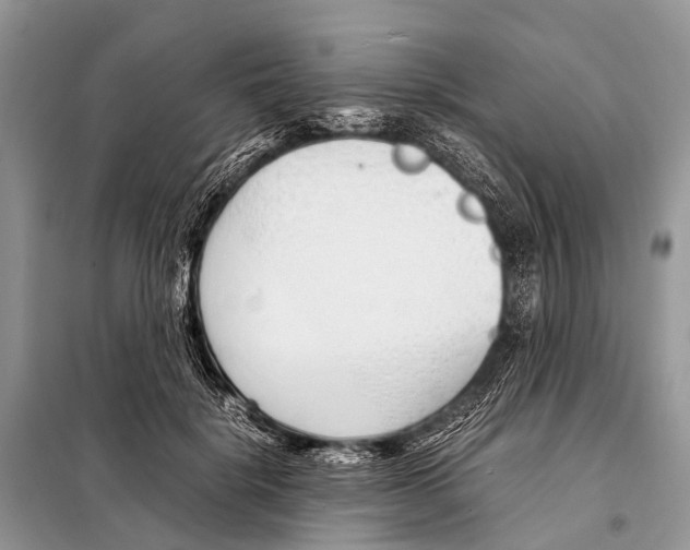 X0000098100652200805021111