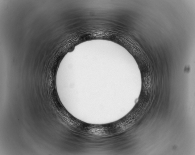 X0000098100653200805021111