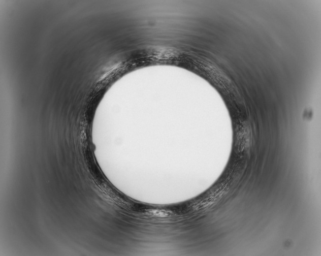 X0000098100654200805021111