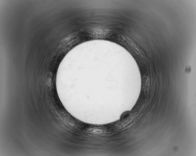 X0000098100655200805021111