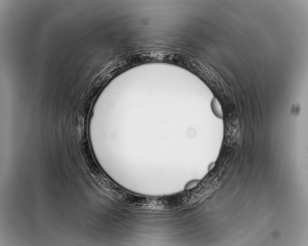 X0000098100656200805021111