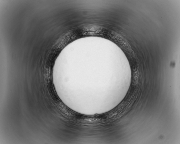 X0000098100657200805021111