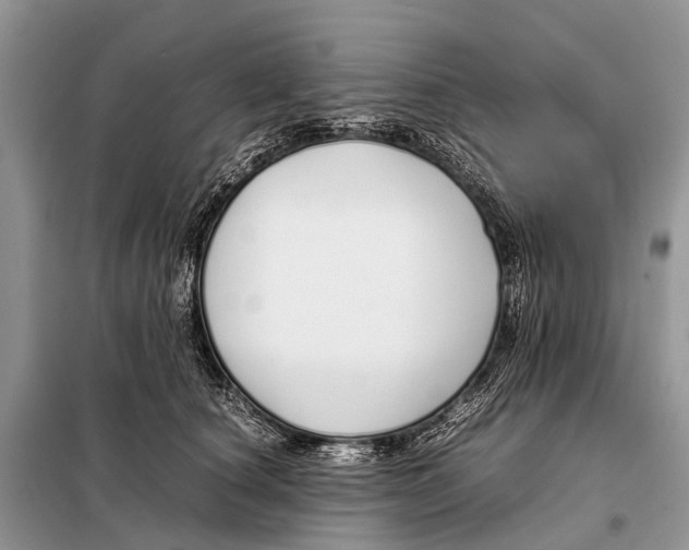 X0000098100660200805021111